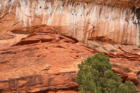 Reconstructed Granary. Zion National Park - April 8, 2007.