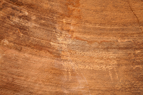 Petroglyph. Zion National Park - April 9, 2009.
