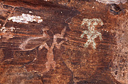 Pictographs - Zion National Park