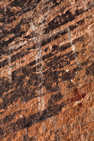 Pictograph. Zion National Park - April 10, 2009.