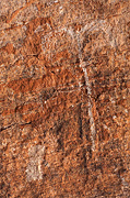 Pictographs - Zion National Park