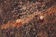 Pictographs - Zion National Park