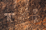 Pictographs - Zion National Park