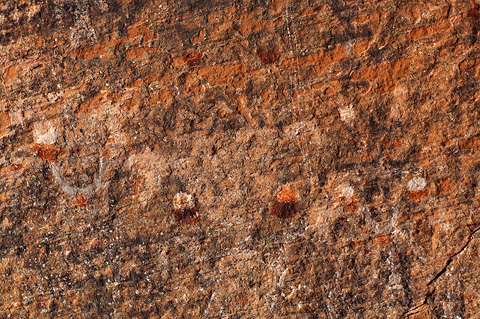 Pictographs. Zion National Park - April 10, 2009.