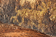 Pictograph - Zion National Park