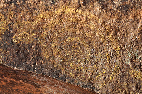 Pictograph. Zion National Park - April 10, 2009.