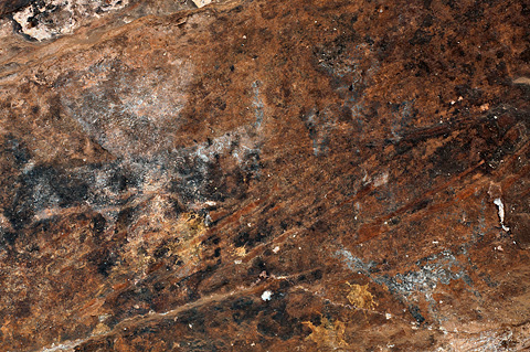 Pictograph. Zion National Park - April 10, 2009.