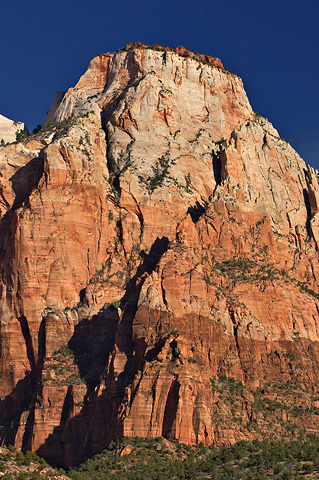 The Sentinel, from the Pa'rus Trail. Zion National Park - September 29, 2006.