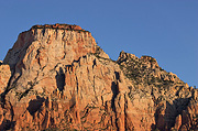The Sentinel at sunrise - Zion National Park