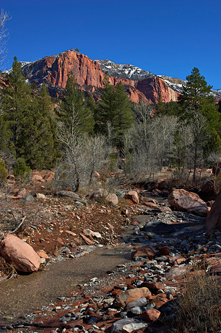 Horse Ranch Mountain and Taylor Creek. Zion National Park - October 30, 2004.