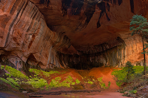 Double Arch Alcove. Zion National Park - October 30, 2004.