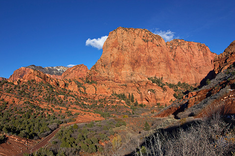 Paria Point. Zion National Park - October 30, 2004.