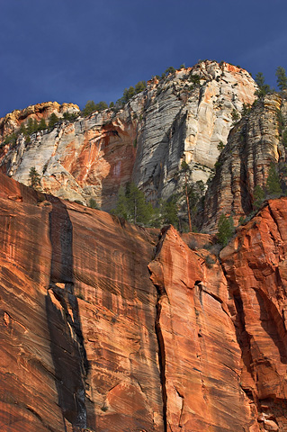 The Temple walls. Zion National Park - March 24, 2006.