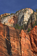 The Temple walls - Zion National Park