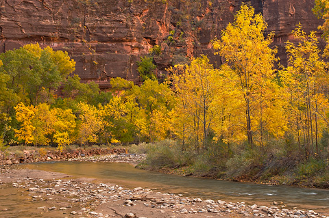 Just around the bend. Zion National Park - October 29, 2006.