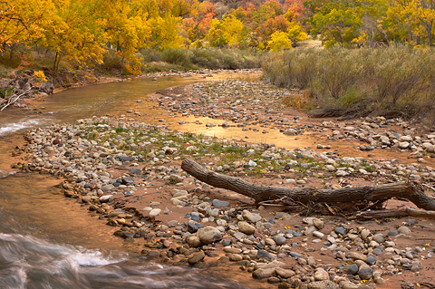 Reflecting pool. Zion National Park - October 29, 2006.