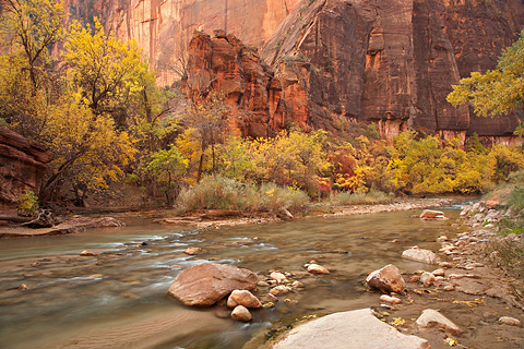 Warm and cold. Zion National Park - October 28, 2007.