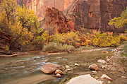 Warm and cold - Zion National Park