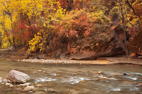 Clear water and colorful leaves. Zion National Park - October 28, 2007.