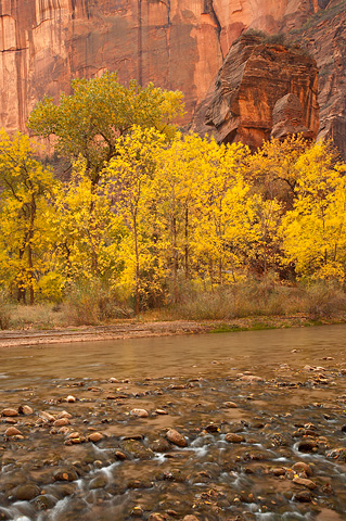 Hidden altar. Zion National Park - October 28, 2007.