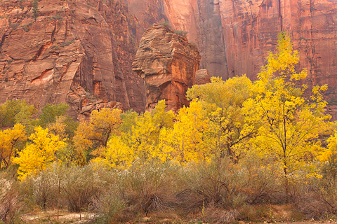 The Pulpit. Zion National Park - October 28, 2007.