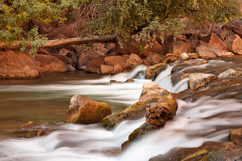 Temple cascades. Zion National Park - October 16, 2008.