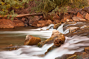 Temple cascades - Zion National Park