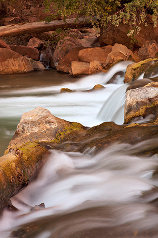 Cascades. Zion National Park - October 16, 2008.