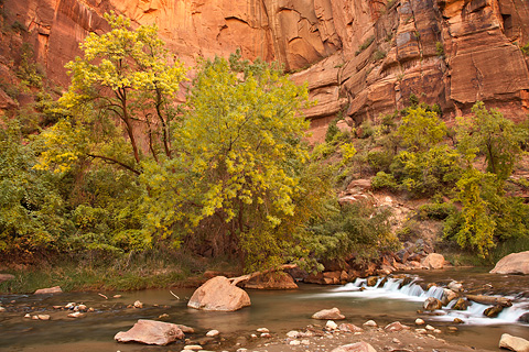 Temple cascades. Zion National Park - October 16, 2008.