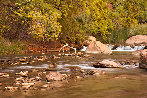 Serenity along The Virgin. Zion National Park - October 16, 2008.