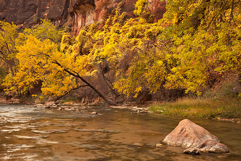 Radiant light. Zion National Park - October 31, 2008.