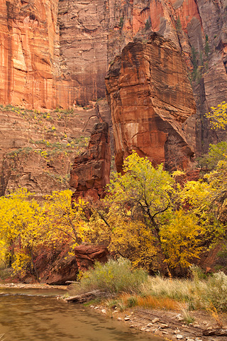 The Virgin, The Altar, and The Pulpit. Zion National Park - October 31, 2008.