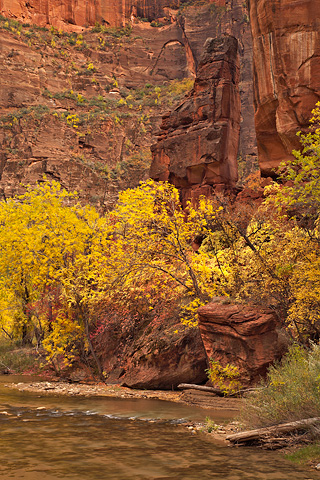 The Altar. Zion National Park - October 31, 2008.