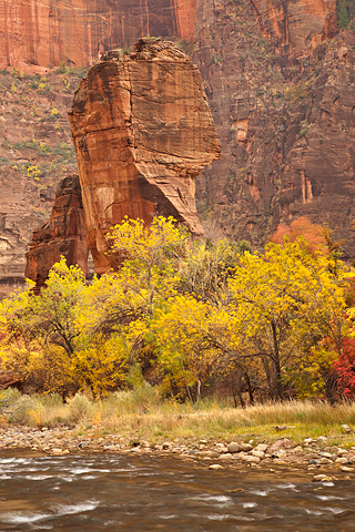 Fall color at The Altar and The Pulpit. Zion National Park - November 1, 2008.