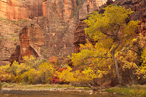 The Temple of Sinawava in Autumn. Zion National Park - November 1, 2008.