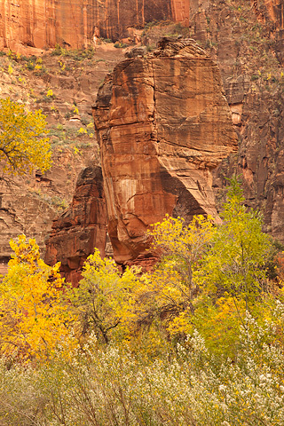 Autumn at The Altar and The Pulpit. Zion National Park - November 1, 2008.