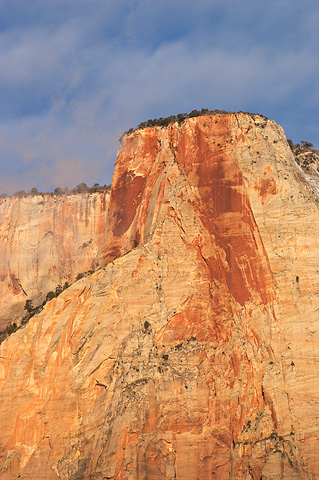 The Altar of Sacrifice. Zion National Park - February 19, 2006.