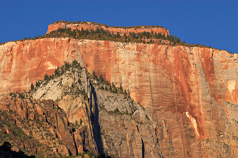 The West Temple in Autumn. Zion National Park - September 29, 2006.