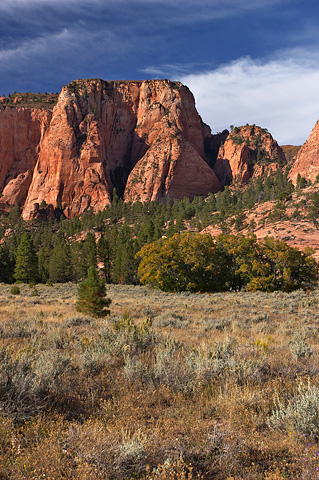 Jobs Head. Zion National Park - September 30, 2006.