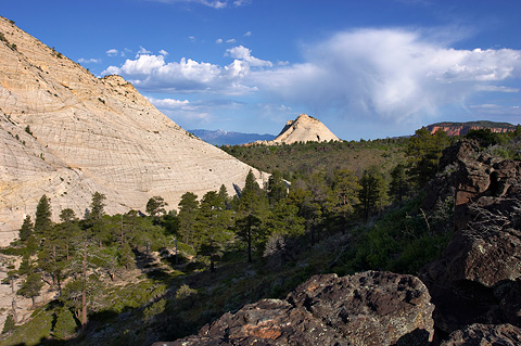 Pine Valley Peak and the Northgate Peaks. Zion National Park - May 28, 2005.
