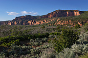 Hop Valley - Zion National Park