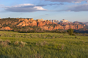 South Guardian Angel, The West Temple, and Mount Kinesava in the distance - Zion National Park