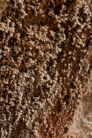 Mineral deposits. Zion National Park - April 8, 2007.
