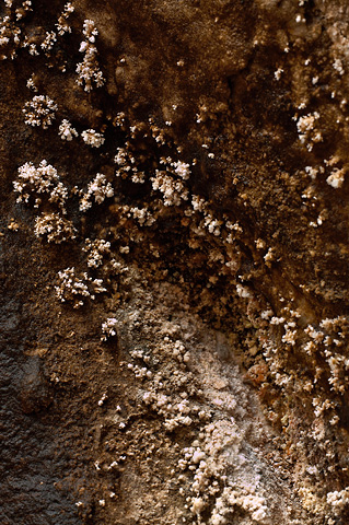 Black and white. Zion National Park - April 8, 2007.
