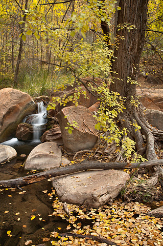 Autumn cascades. Zion National Park - October 27, 2007.