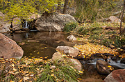 Cascades littered with fallen leaves - Zion National Park
