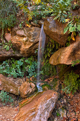 A small waterfall. Zion National Park - October 7, 2004.