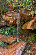 A small waterfall - Zion National Park