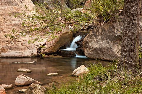 Cascades. Zion National Park - October 17, 2008.