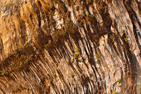 Weeping Rock. Zion National Park - October 17, 2008.